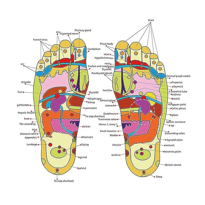 Natural Foot Slippers Massager - Al Marwati Decor